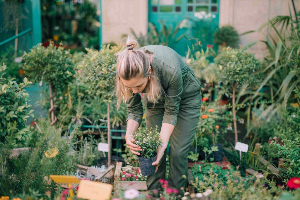 How to Design Cape Gardens Inspired by Your Travels