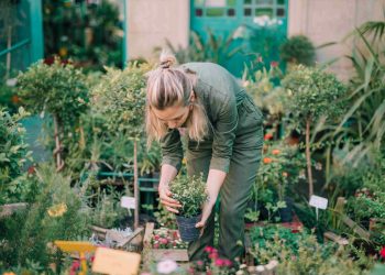 How to Design Cape Gardens