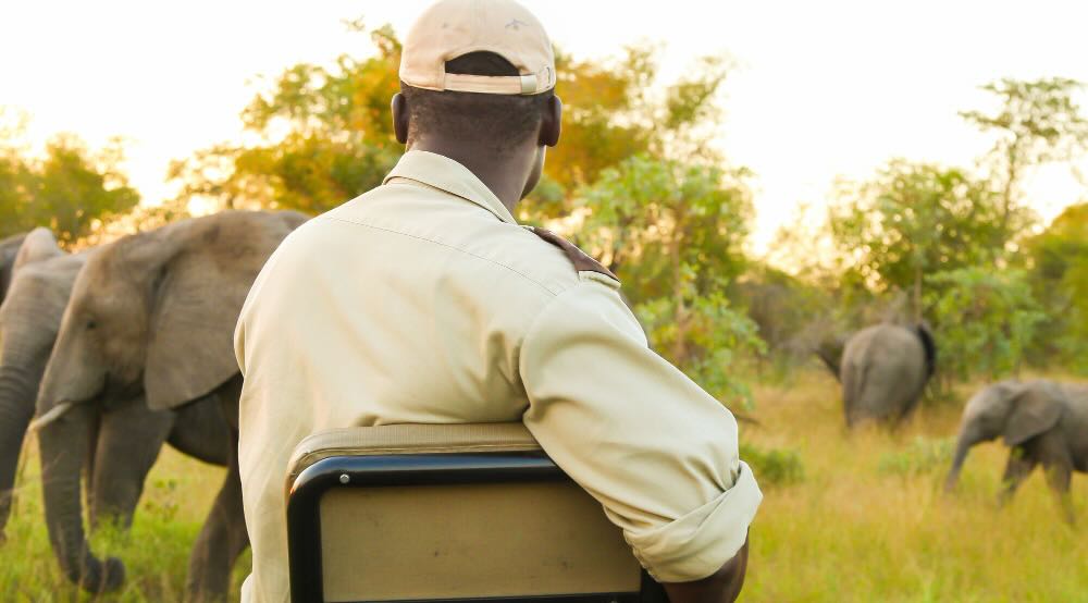 Safari Don'ts: What to Avoid
