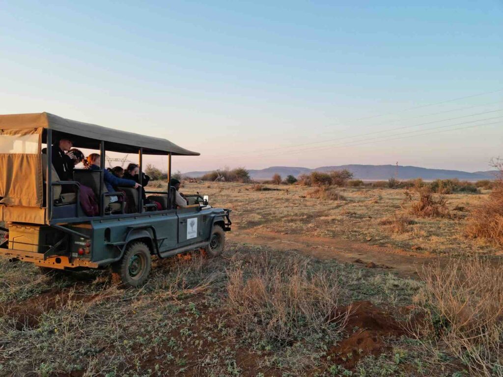 Safari South Africa Cape Town First-Time
