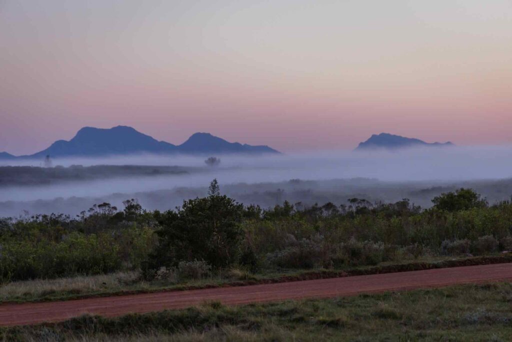 Two Ways to Safari in Cape Town