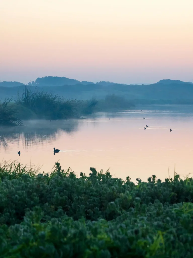 Glencairn Wetlands - Cape Town