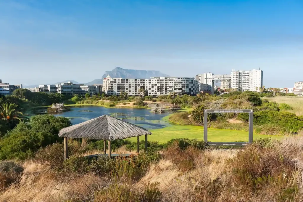 Intaka Island - Cape Town