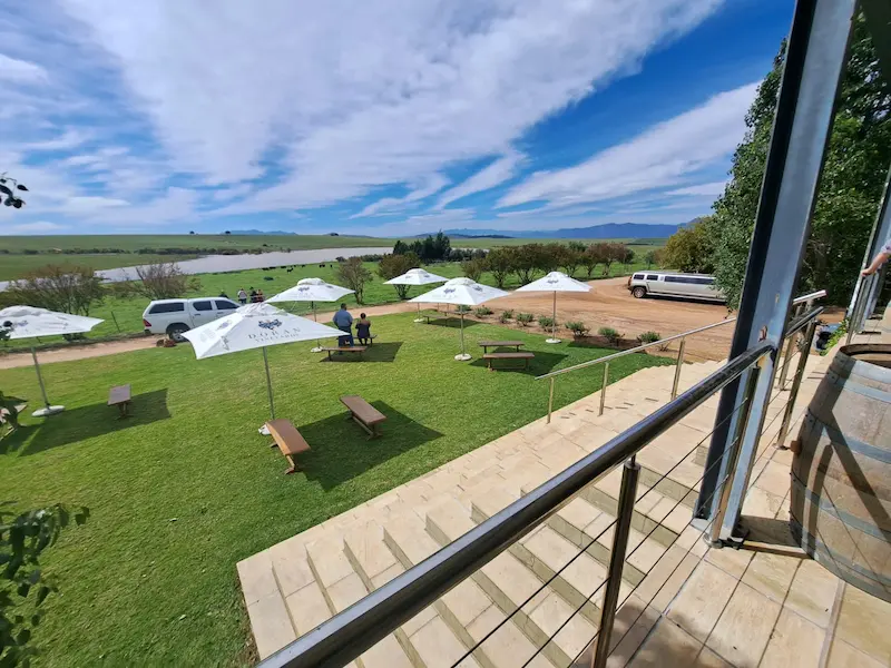 Doran Vineyards View from Tasting Room