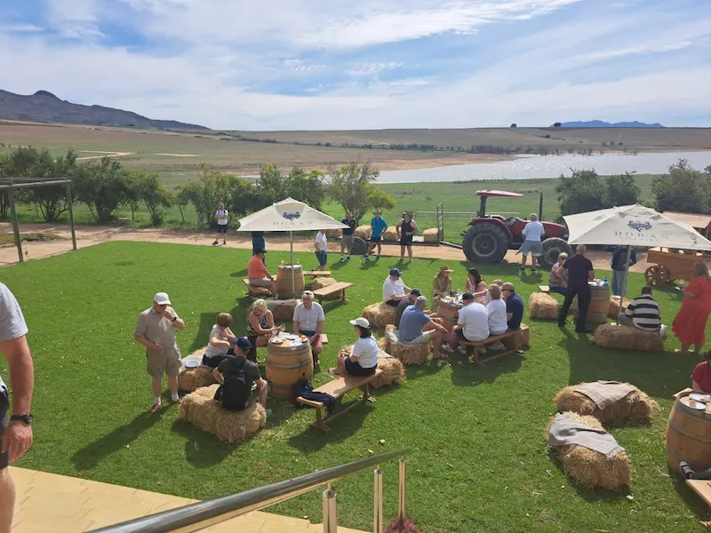 Doran Vineyards View