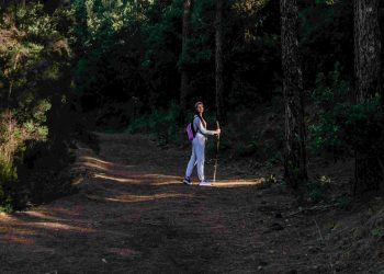 Tokai Forest Cape Town