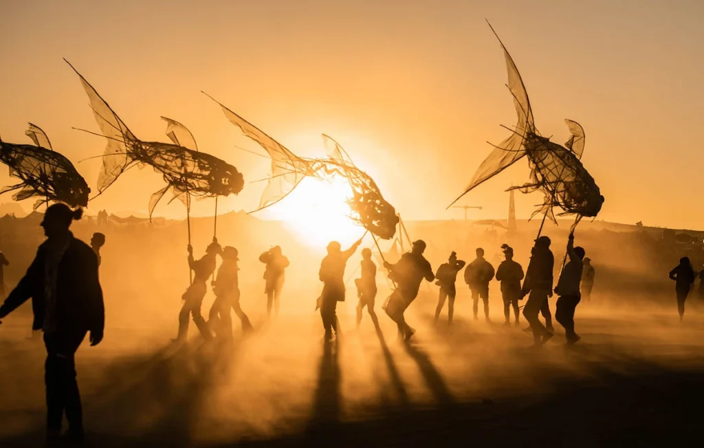 Afrikaburn Cape Town 2026
