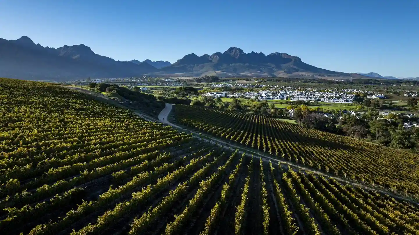 Klein Zelze - Stellenbosch Wine Tasting with Fireplaces