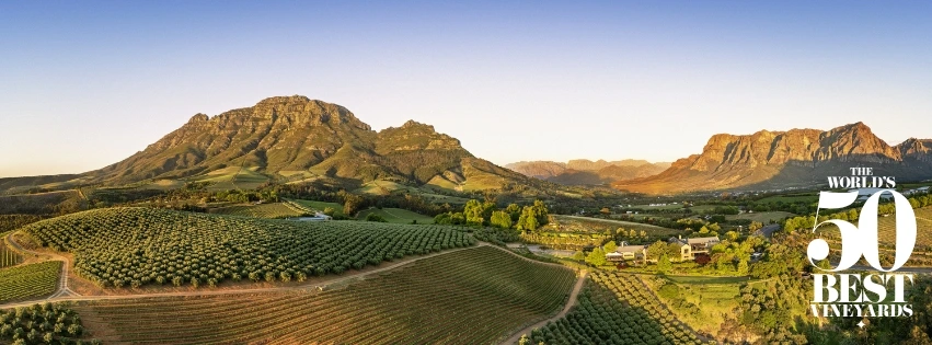 Tokara Wine Farm, Stellenbosch