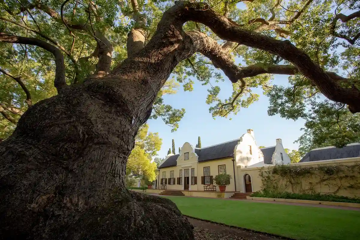 Vergelegen Wine Esate - Somerset West Winelands