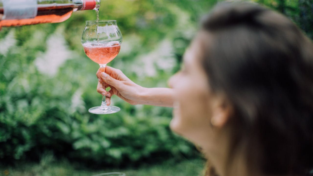 Full-Day Wine Tasting