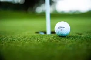 Garden Route Golf Clubs: Scenic Fairways, Coastal Views and Unforgettable Rounds