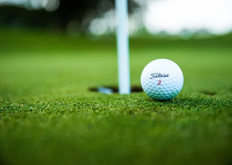 Garden Route Golf Clubs: Scenic Fairways, Coastal Views and Unforgettable Rounds