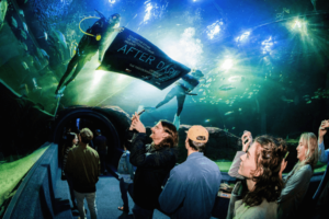 Experience live music beneath the waves at After Dark in Cape Town