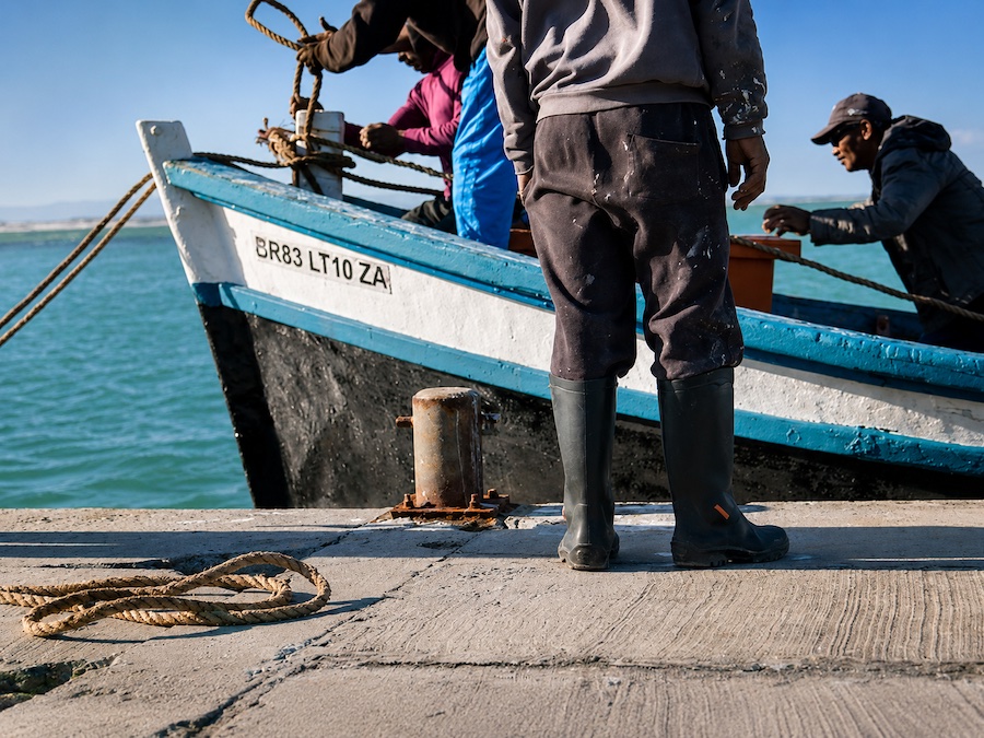 How Abaloni is connecting Cape fishers,Chefs and Diners – From Ocean to Plate