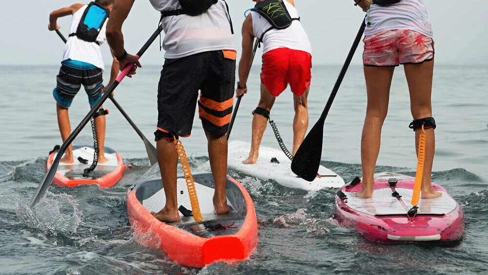 Stand-up Paddle boarding